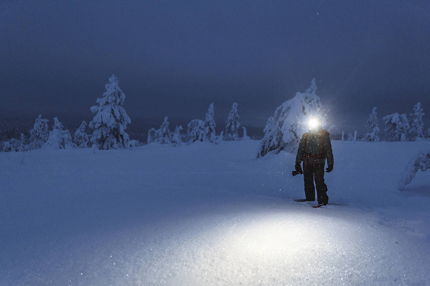 Trekker with a headlamp walking in a snowy Riisitunturi National