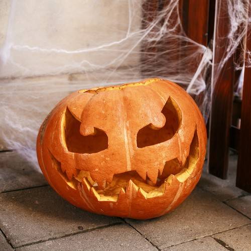 Halloween street decor. Jack o lantern pumpkin and spider web in
